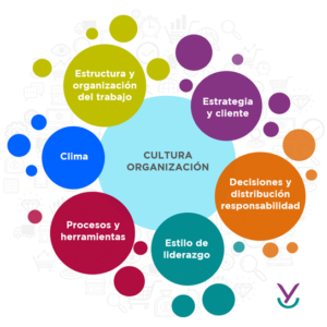 Elementos de la cultura organizacional