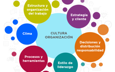 Diagnósticos de cultura Barrett Values