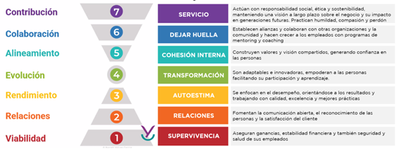 Niveles de conciencia del modelo Barrett